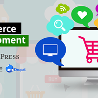 Портфолио Steve Jobs